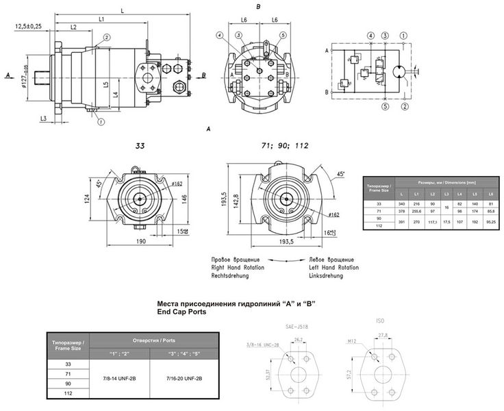 Fixed displacement axial piston motors